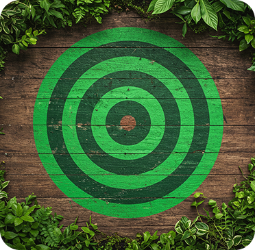 Target graphic with green rings